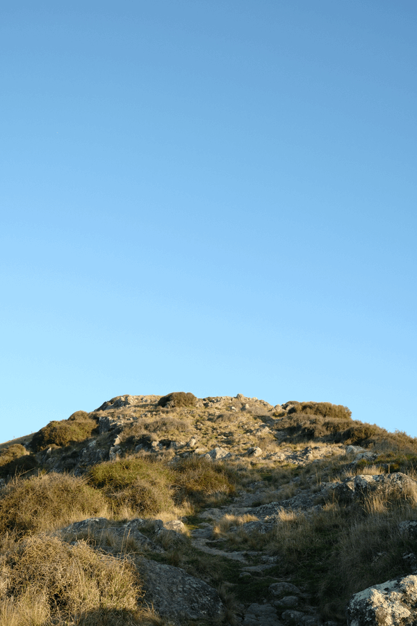 The top of a hill, silhouetted against blue sky. It's scraggy, littered with boulders covered in and lichen, planted with grasses and brush.