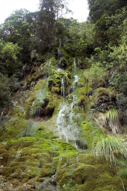 Finding Hope in Whakatū